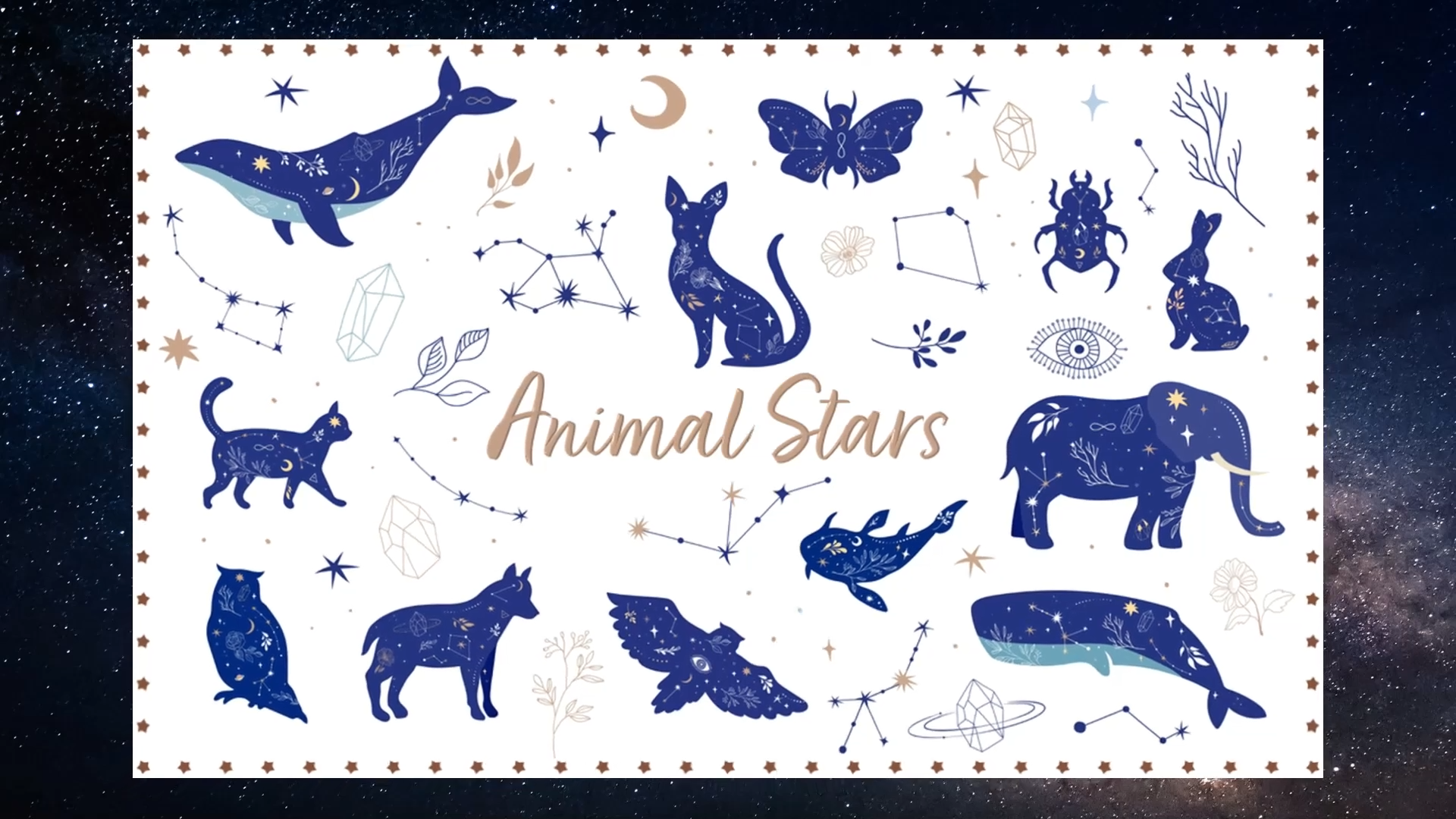 Animal Stars Webinar — Dr. Katherine O’Connell & Janine Opheim